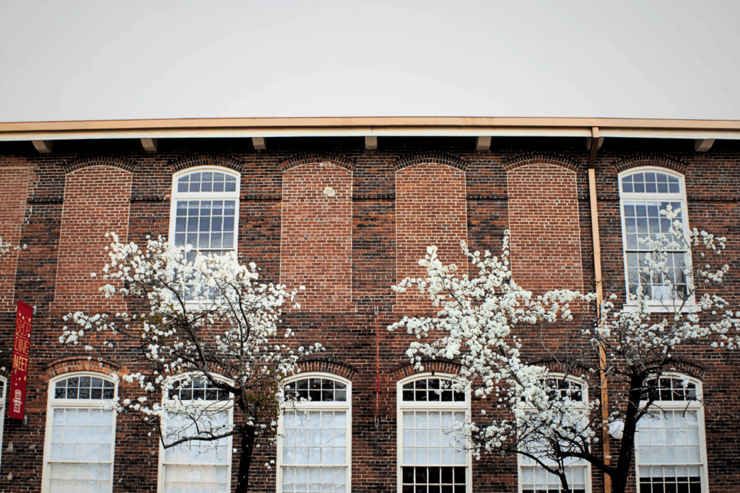 Bricked in windows, Carr Mill Mall, Carrboro, NC